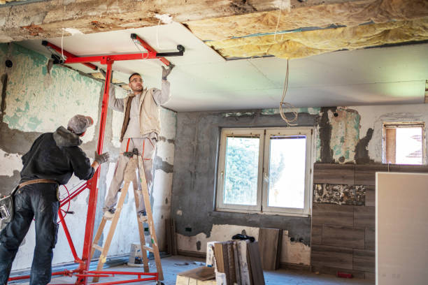 Best Geographic-Specific Insulation Services in Edenton, NC
